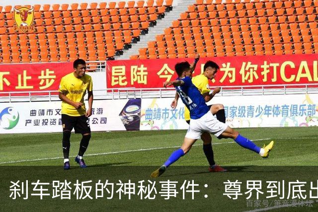 刹车踏板的神秘事件：尊界到底出了什么问题？